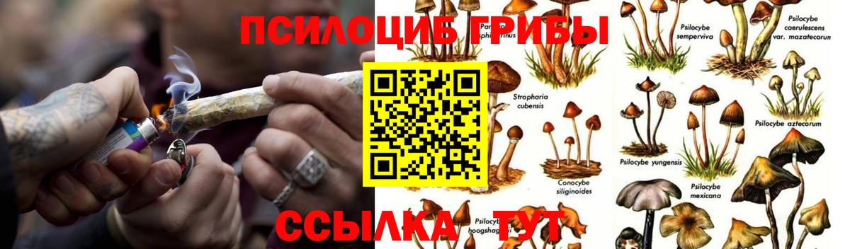 Галлюциногенные грибы мицелий Кохма